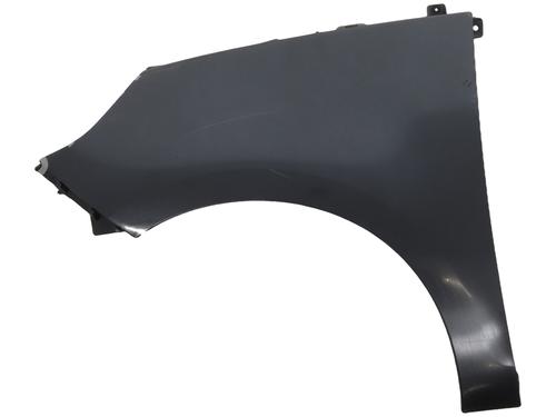 Used Left front fenders RENAULT SCÉNIC III (JZ0/1_) 1.5 dCi (106 hp) 31661677