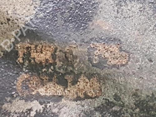 Engine RENAULT SCÉNIC I MPV (JA0/1_, FA0_) 2.0 16V (JA1B, JA1D, JA0C) | BP31749863M1 