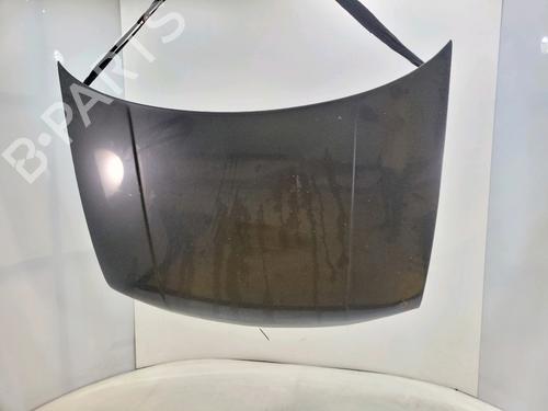 Used Hood VW GOLF IV (1J1) 1.6 (102 hp) 29055500