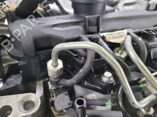 Engine RENAULT KANGOO BE BOP (KW0/1_) 1.5 dCi (KW0G) | BP29295731M1 