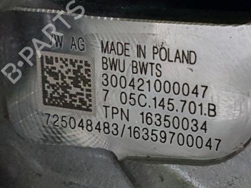 Engine VW POLO VI (AW1, BZ1, AE1) 1.0 TSI | BP31749075M1 