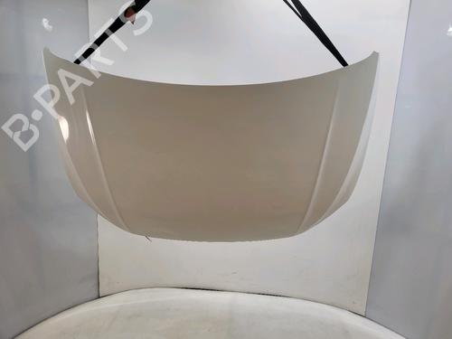 Used Hood VW POLO VI (AW1, BZ1, AE1) 2.0 GTI (200 hp) 30983074