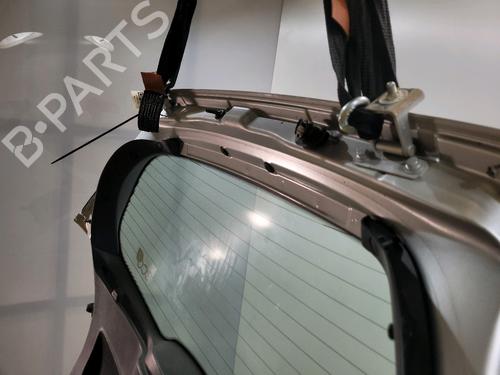 Tailgate RENAULT CLIO III (BR0/1, CR0/1) 1.5 dCi | BP29874943C6