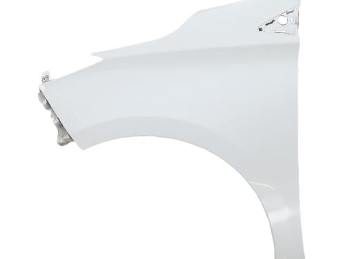 Used Left front fenders RENAULT ZOE (BFM_) ZOE (88 hp) 30405778