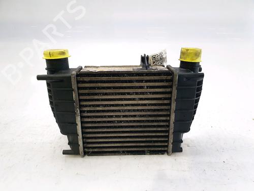 Intercooler RENAULT CLIO III (BR0/1, CR0/1) 1.5 dCi (BR0H, CR0H, CR1S, BR1S) | BP28971166M30 