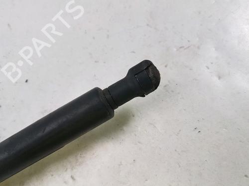 Hood lift support SAAB 9-3 (YS3F, E79, D79, D75) 1.9 TiD | BP27916969C139 