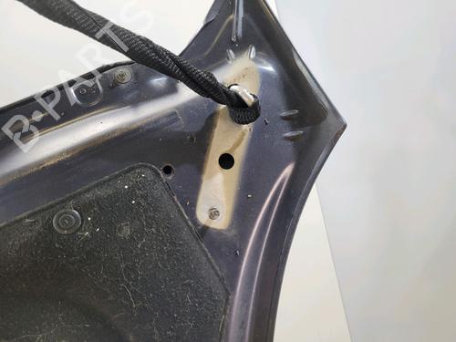 Hood CITROËN C4 Picasso I MPV (UD_) 1.6 HDi | BP29197919C1 