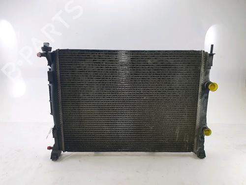 Køler RENAULT MEGANE II (BM0/1_, CM0/1_) 1.9 dCi (BM0G, CM0G) | BP24994411M31 