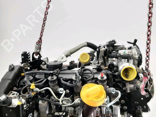 Engine RENAULT KANGOO Express (FW0/1_)  | BP33685690M1  - Image 5