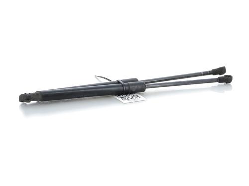 Hood lift support BMW 1 (E87) 118 d | BP27904085C139 