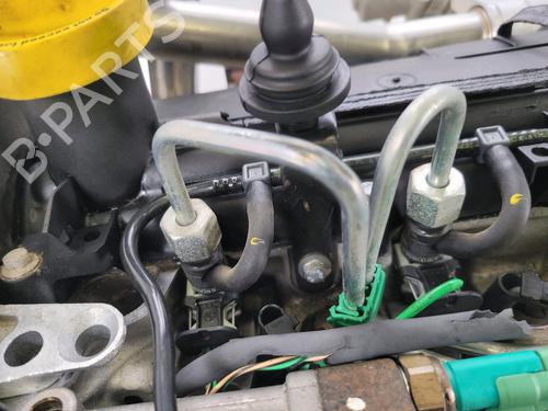 Motor RENAULT CLIO II (BB_, CB_) 1.5 dCi (B/CB3M) | BP29874731M1