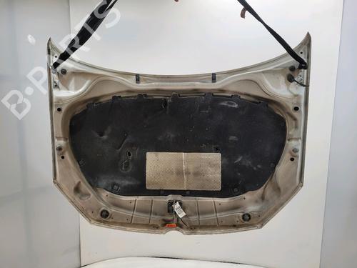 Hood VW POLO V (6R1, 6C1) 1.4 GTI | BP29470624C1 