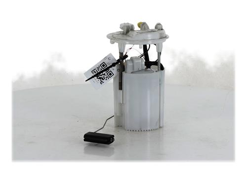 Kraftstoffpumpe für RENAULT SCÉNIC III (JZ0/1_) 1.2 TCe (116 hp) 29624175