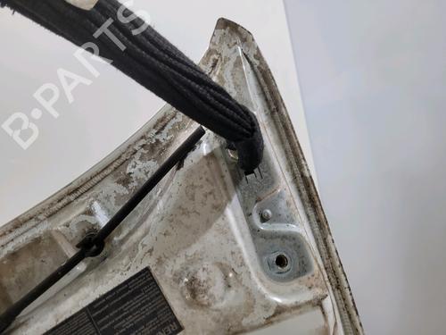 Hood RENAULT TWINGO II (CN0_) 1.2 (CN0D) | BP29623931C1 