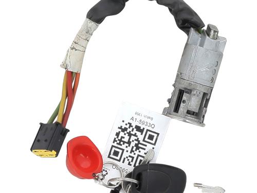 Used Ignition barrel Ignition barrel RENAULT CLIO II (BB_, CB_) [1998-2016] 35748570 35748570
