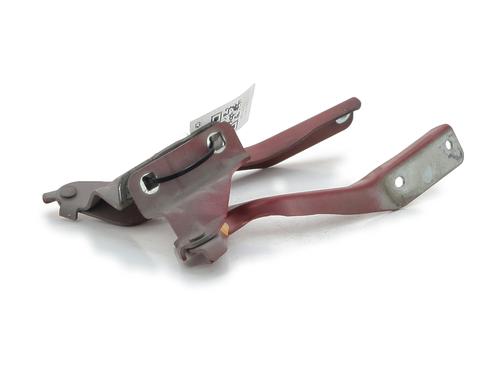Hinge/Door check strap NISSAN QASHQAI I (J10, NJ10) 2.0 dCi All-wheel Drive | BP29346546C146 