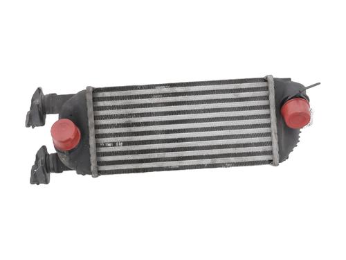 Used Intercooler FIAT 500 (312_) 0.9 (312AXM1B) (105 hp) 30917984