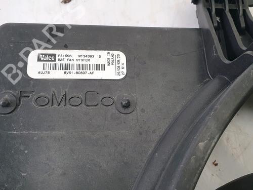 Radiator fan FORD FIESTA V (JH_, JD_) 1.4 TDCi | BP29874084M35