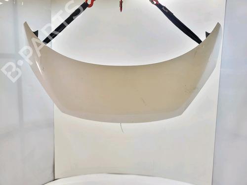 hood-renault-scenic-iii-jz01_-2008-2009-2010-2011-2012-2013-2014-2015-2016-36549176 main image