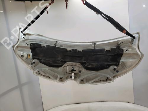 Hood RENAULT MASTER III Van (FV) 2.3 dCi 145 FWD (FV0E, FV0F, FV0H, FV02, FV0M, FV0S,... | BP29931594C1 