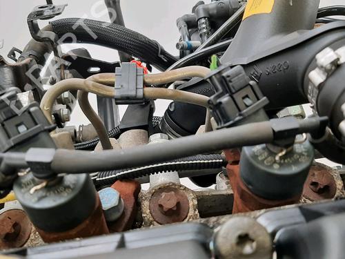 Engine FIAT SCUDO Van (220_) 2.0 JTD | BP32400849M1 