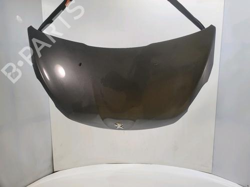 Used Hood Hood 38979023 38979023