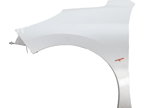 left-front-fenders-peugeot-207-wa_-wc_-2006-2007-2008-2009-2010-2011-2012-2013-2014-2015-32460021 main image