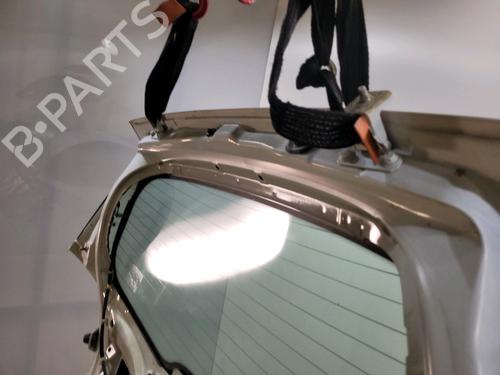 Tailgate RENAULT CLIO III (BR0/1, CR0/1) 1.5 dCi (BR17, CR17) | BP29552915C6 