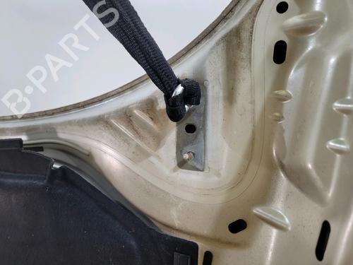Hood FIAT 500 (312_) 1.3 D Multijet (312AXB1A) | BP29740842C1 