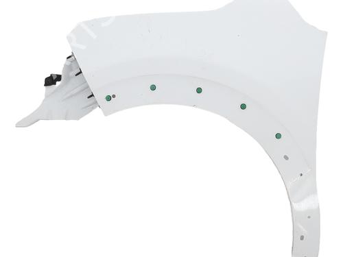 Used Left front fenders CITROËN C3 III (SX) 1.5 BlueHDi 100 (SXYHYP, SXYHTU) (102 hp) 29695891