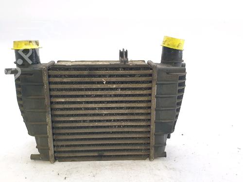 Intercooler RENAULT CLIO III (BR0/1, CR0/1) 1.5 dCi (BR17, CR17) | BP29347281M30 