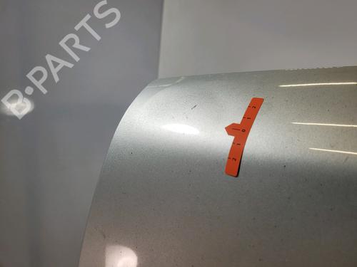 Tailgate RENAULT KANGOO (KC0/1_) 1.5 dCi | BP31141766C6 