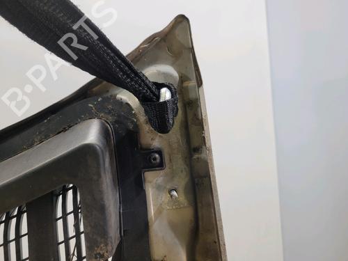 Hood RENAULT TWINGO I (C06_) 1.2 (C066, C068) | BP29495610C1 