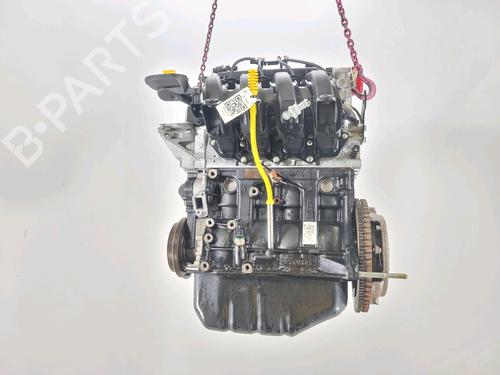Engine RENAULT CLIO II (BB_, CB_)  | BP28160653M1 