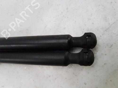 Hood lift support RENAULT KANGOO Express (FW0/1_) 1.5 dCi 75 (FW07, FW10, FW04) | BP27916958C139 