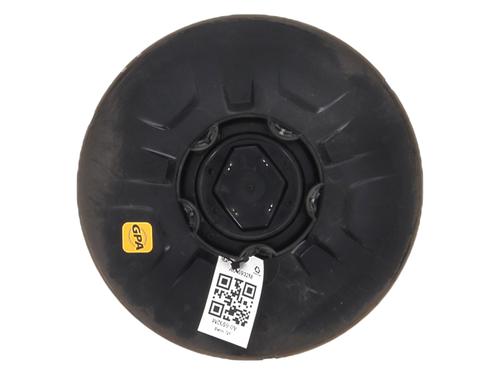 Hub cap RENAULT MASTER III Van (FV) 2.3 dCi 125 FWD (FV0C, FV0D, FV0G, FV0H, FV0J, FV0K,... | BP29295060C160 