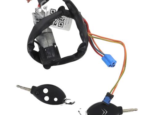 Used Ignition barrel CITROËN C5 I (DC_) 3.0 V6 (DCXFXC, DCXFXF) (207 hp) 31606953