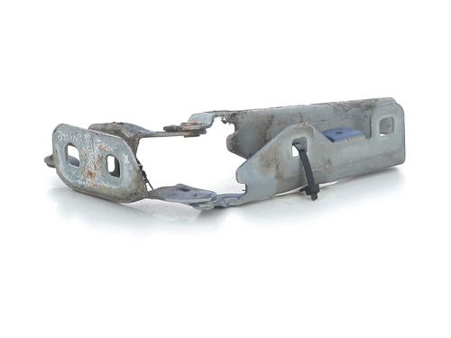 Hinge/Door check strap RENAULT TWINGO I (C06_) 1.2 (C066, C068) | BP30827932C146 