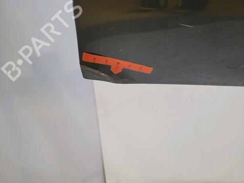 Right front door RENAULT CLIO II (BB_, CB_) 1.5 dCi (B/C2J) | BP31699953C3