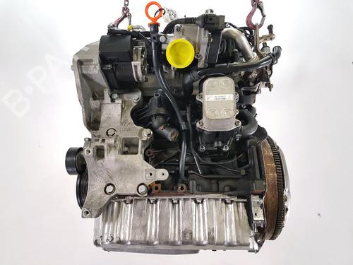 Engine VW GOLF VI (5K1) 1.6 TDI | BP37680594M1 - Image 2