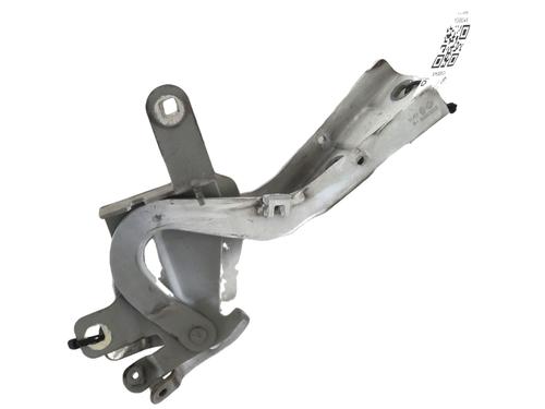 Used Hinge/Door check strap RENAULT CLIO IV (BH_) 1.5 dCi 75 (75 hp) 31699679