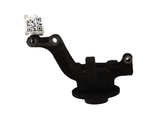 Left front steering knuckle RENAULT CLIO III (BR0/1, CR0/1) 1.2 16V (BR02, BR0J, BR11, CR02, CR0J, CR11) | BP29695778M25 