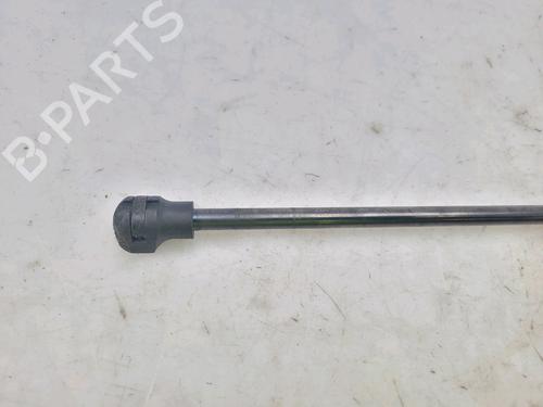 Hood lift support DACIA SANDERO II TCe 90 (B8M1, B8MA, B8AC) | BP27916990C139