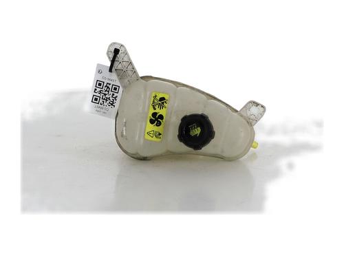 Used Expansion tank NISSAN NV200 Van 1.5 dCi 110 (M20, M20N, M20M) (110 hp) 29495904