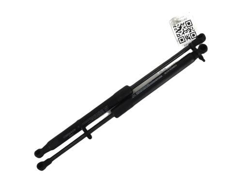 Used Hood lift support FIAT 500L (351_, 352_) 1.6 D Multijet (199LYD1B) (105 hp) 27914300