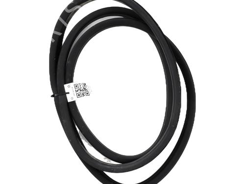 Used Rubber door seal RENAULT CLIO V (B7_) 1.6 E-TECH 140 (B7MU) (140 hp) 31056852