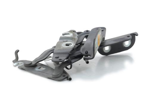 Hinge/Door check strap FORD FIESTA VI (CB1, CCN) 1.4 | BP27908421C146 
