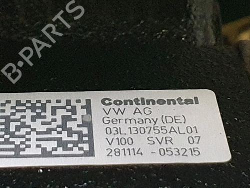 Engine SEAT IBIZA IV (6J5, 6P1) 1.6 TDI | BP27729594M1 