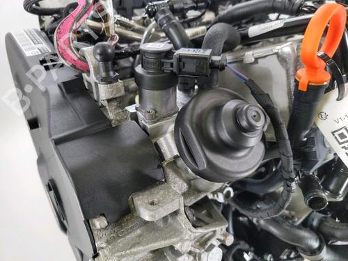 Engine VW GOLF VII (5G1, BQ1, BE1, BE2) 1.6 TDI | BP29470816M1 