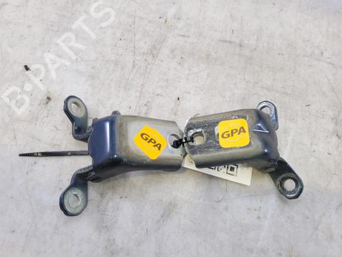 Hinge/Door check strap RENAULT KADJAR (HA_, HL_) 1.6 dCi 130 (HLA4) | BP27903780C146 